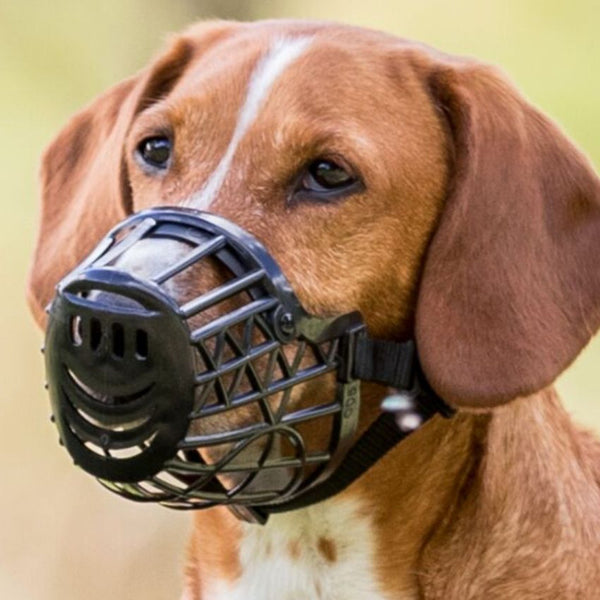 Пластмасов намордник за куче Trixie Muzzle, plastic , черен цвят