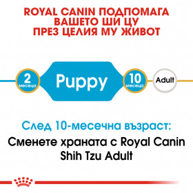 Суха храна за кучета Royal Canin SHIH TZU JUNIOR