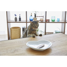 Натурално лакомство за котки Ciao Cat Treats Grilled Tuna Fillet in Homestyle Broth истинско филе от риба тон, залято с домашен, зеленчуков бульон