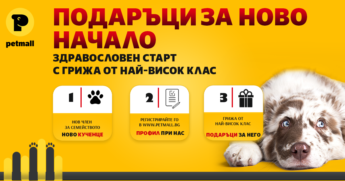 НОВО КУЧЕ У ДОМА! ПОДАРЪК за здравословен старт