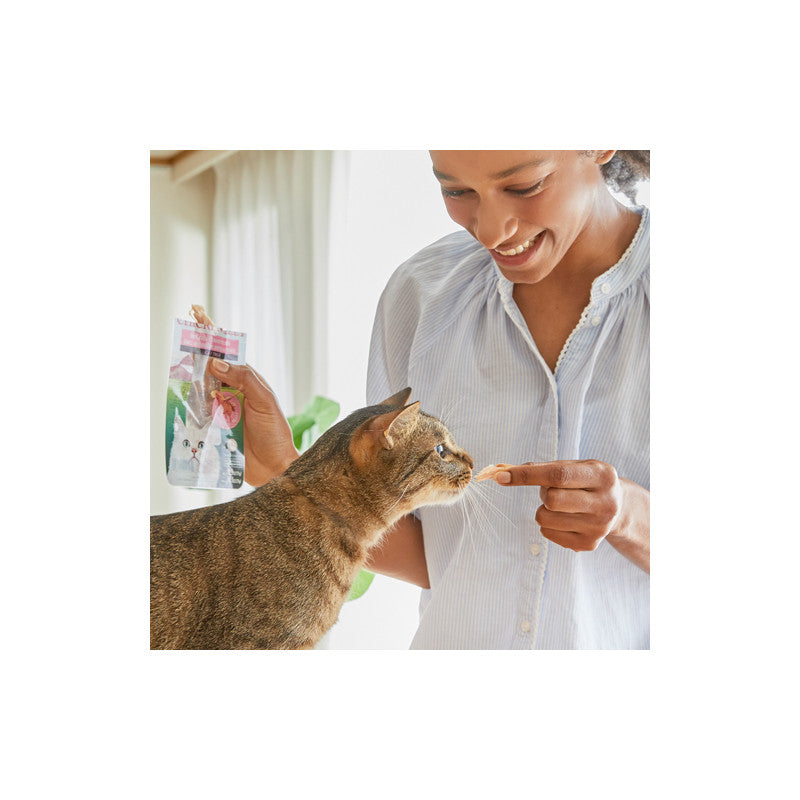 Натурално лакомство за котки Ciao Cat Treats Grilled Chicken Fillet in Chicken Flavored Broth истинско пилешко филе, залято с пилешки бульон; №1в света мокро лакомство за котки 