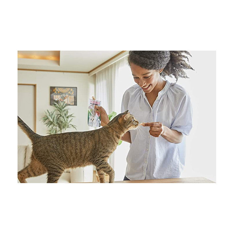 Натурално лакомство за котки Ciao Cat Treats Grilled Chicken Fillet in Chicken Flavored Broth истинско пилешко филе, залято с пилешки бульон; №1в света мокро лакомство за котки 