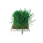 Trixie Grass for Rodents - Трева за гризачи 