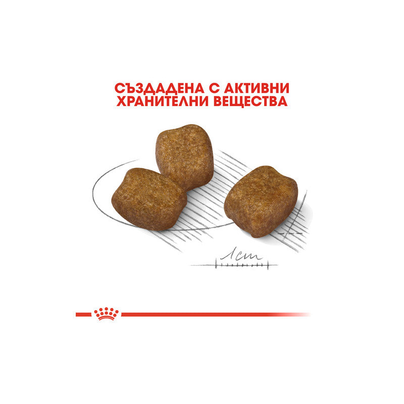 Royal Canin Mini Dental - Пълноценна храна за кучета в зряла възраст от ...
