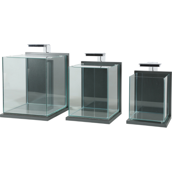 307224 Zolux JALAYA 2 GRIS ANTHRACITE 10л.