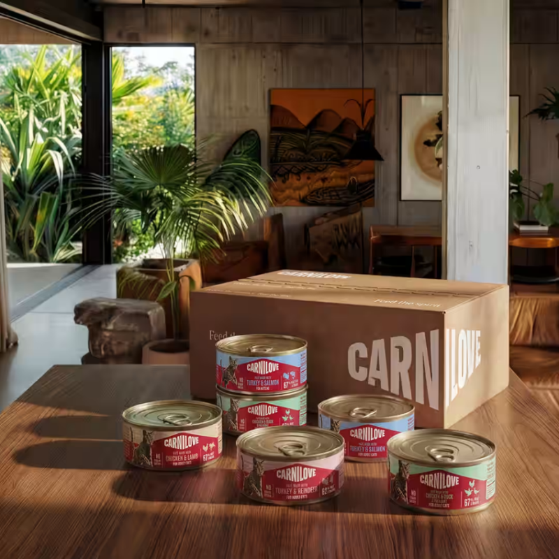 NEW 104101390 Carnilove Cat Can Paté Turkey & Salmon for Kittens 100 g консерва за котки