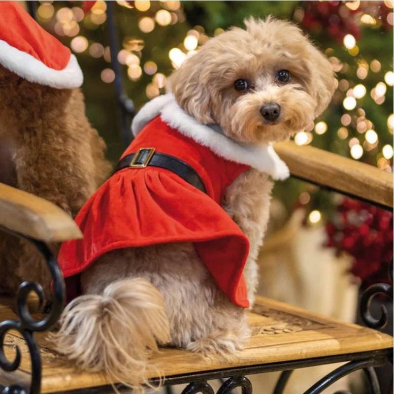 Croci DRESS XMAS SANTA GIRL - коледна рокля