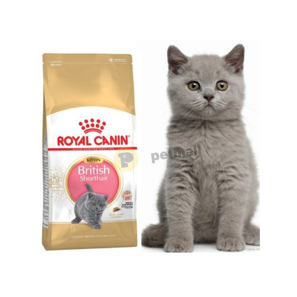 Суха храна за котки Royal Canin KITTEN BRITISH SHORTHAIR 
