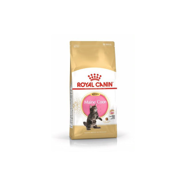 Royal Canin Maine Coon Kitten - Пълноценна и балансирана храна за подрастващи котенца порода Maine Coon