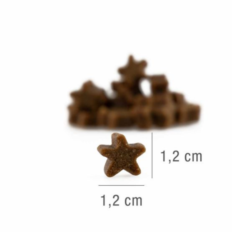 Монопротеиново лакомство за кучета Platinum STARS Salmon Dog 185g с мека текстура от 70% сьомга