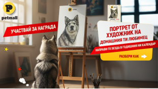 Спечели портрет на своя любимец и го направи звезда в календара на Petmall.bg за 2026
