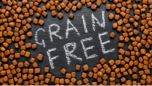 Алергии, пшеница, царевица и соя, или защо да помислим за grain-free храни?