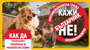 Обезпаразитяване на кучета и котки – кога започва сезонът и как да изберем най-добрата защита