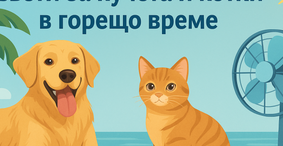 Как да се справим с жегите: съвети за кучета и котки в горещо време
