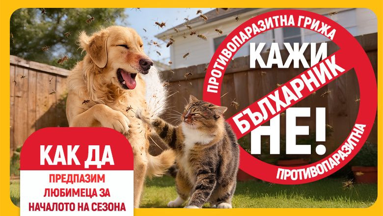 Обезпаразитяване на кучета и котки – кога започва сезонът и как да изберем най-добрата защита