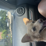 Pepa
