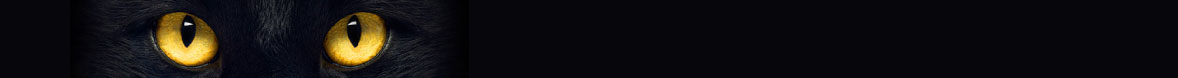 CYBER MONDAY