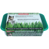 Котешка трева Zolux CATNIP, в помощ на храносмилателната система