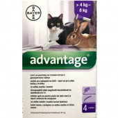 Bayer Advantage  Spot-On Обезпаразитяващи Пипети За Външни Паразити При Котки И Декоративни Зайци над 4кг