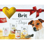Brit Gift box for Dogs - Ексклузивна подаръчна кутия за кучета