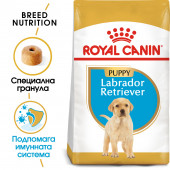 Суха храна за кучета  Royal Canin LABRADOR RETRIEVER JUNIOR