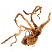 Croci Tea Wood - Чаено дърво за декорация за аквариум 20 - 25 см
