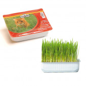 Трева за котки Сamon 100 гр.