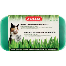 Котешка трева Zolux CATNIP, в помощ на храносмилателната система