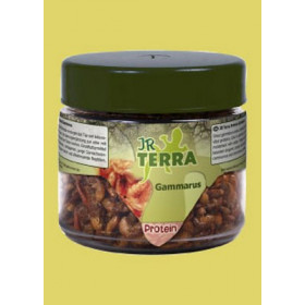 JR Farm Terra Protein Mealworms - сушени гамаруси, богати на протеини, за месоядни и всеядни видове 20 грама