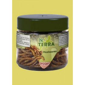 JR Farm Terra Protein Mealworms - бели червеи, за месоядни и всеядни видове 20 грама
