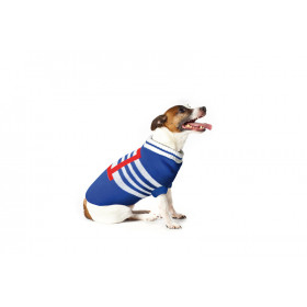 Раиран пуловер за кучета Record
