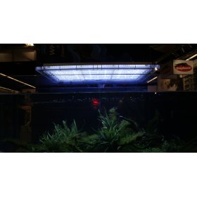 LED осветление за аквариум SICCE 170W 650x366x40мм. 588 бели и 42 сини