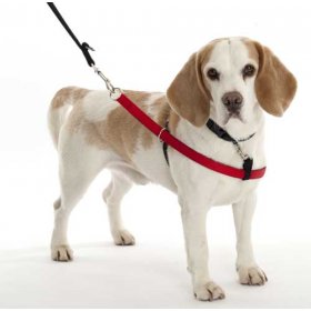 Нагръдник за куче против дърпане WALKEZEE HARNESS XL 