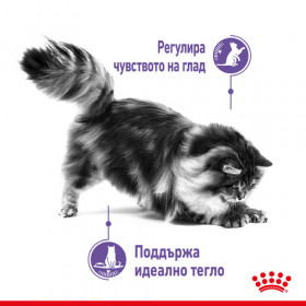 Royal Canin Appetite Control - пълноценна храна за котки в зряла възраст за контролиране поведението на просене