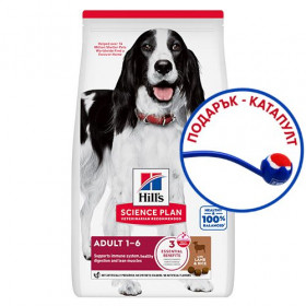 Hill’s Science Plan Canine Medium Adult с агнешко и ориз - Пълноценна суха храна за кучета от средни породи с умерени енергийни нужди, 1-7 г 14кг + подарък катапулт