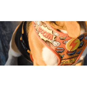 Двулицев, дизайнерски нагръдник за кучета от неопрен Dashi BOOM