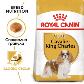 Royal Canin Cavalier King Charles Adult - за кучета Кавалер Кинг Чарлз на въраст над 10 месеца 1.5 кг.