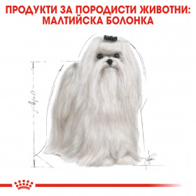 Суха храна за кучета Royal Canin Maltese Adult