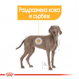 Суха храна за кучета Royal Canin MAXI DERMACOMFORT