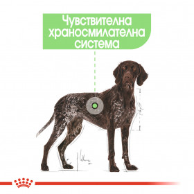 Royal Canin Maxi Digestive Care - Суха храна за кучета от големите породи над 18 месечна възраст