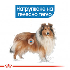 Royal Canin Maxi Light Weight Care - за кучета над 15 месечна възраст с тегло между 26 и 44кг