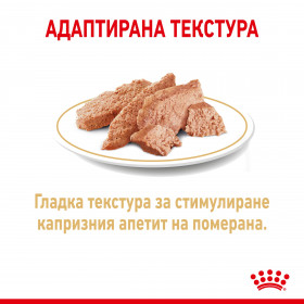 Royal Canin Pomeran Adult - Пълноценна храна за кучета в зряла възраст, порода Померан - Над 8 месеца (пастет)