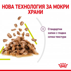 Royal Canin Sensory Taste in Gravy - пълноценна мокра храна със сос в пауч за котки в зряла възраст 