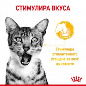 Royal Canin Sensory Taste in Gravy - пълноценна мокра храна със сос в пауч за котки в зряла възраст 