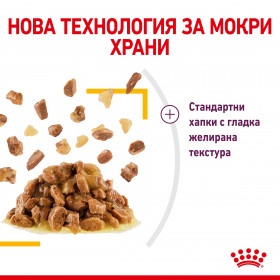 Royal Canin Sensory Taste in Jelly - пълноценна мокра храна хапки в желе в пауч за котки в зряла възраст