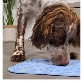 Силиконова подложка за облизване Zolux Silicone licking mat М размер в различни цветове