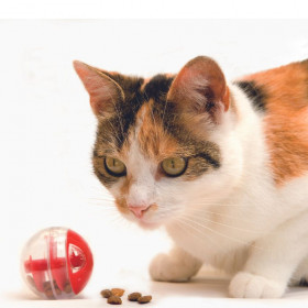 Интерактивно пластмасово топче Beeztees за котки с място за лакомства