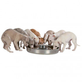 Метална купа с изпъкнала вътрешна част Trixie Junior Puppy Bowl подходяща за малки кученца