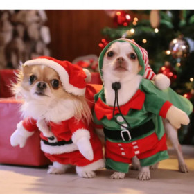 Костюм за кучета Croci Xmas elf dress коледен елф в различни размери