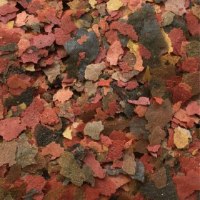 Храна на люспи Amtra Pro Flake за сладководни и соленоводни аквариумни риби